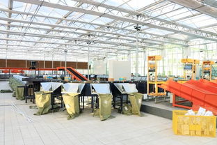 青州经验 供销电商如何立足产业，以智慧仓储物流重塑普通货物服务